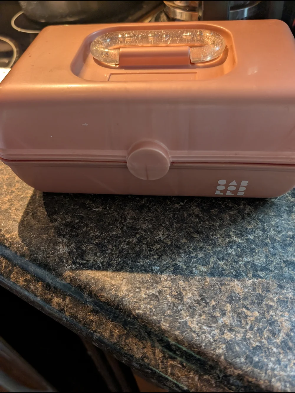 Pink Caboodle With All Size Crochet Needles!